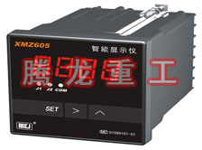 溫度表、數(shù)字顯示儀、濕度表